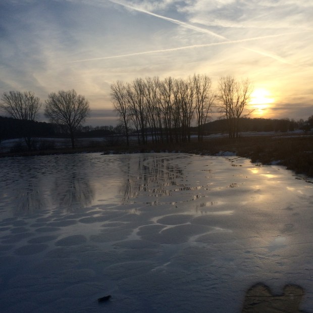 Winter Hike | Beauty and Blooms