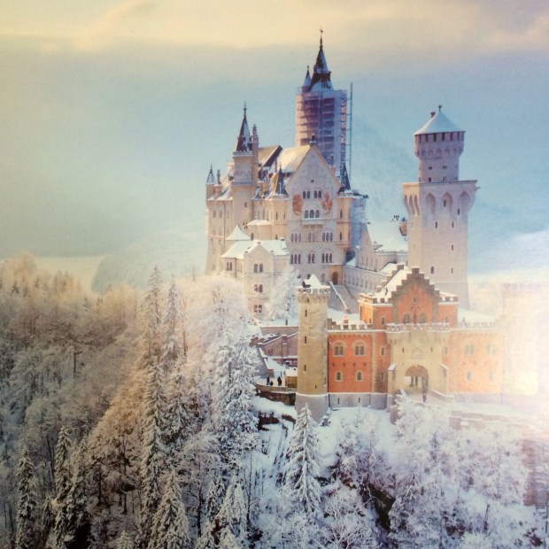 Friday Favorites | Beauty and Blooms