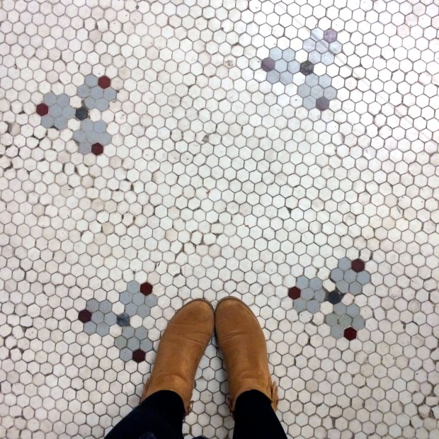 Friday Favorites | Beauty and Blooms