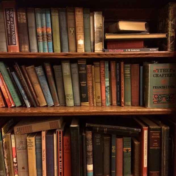 Winter Wine Walk | Beauty & Blooms