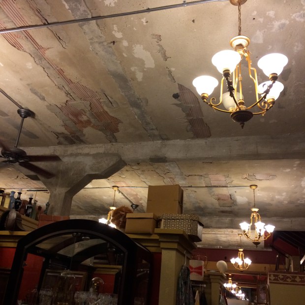 Winter Wine Walk | Beauty & Blooms