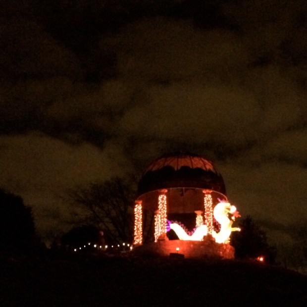 Botanical Garden Festival of Lights | Beauty & Blooms