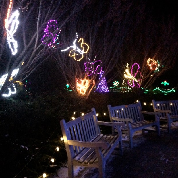 Botanical Garden Festival of Lights | Beauty & Blooms