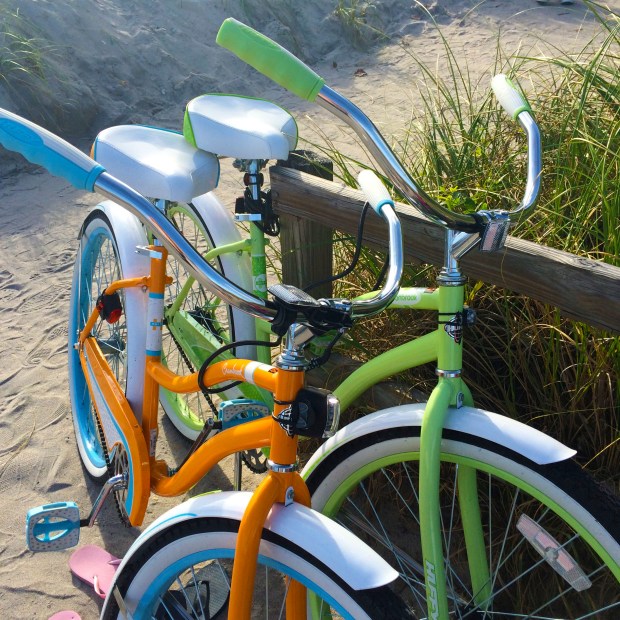 Friday Favorites | Beauty and Blooms