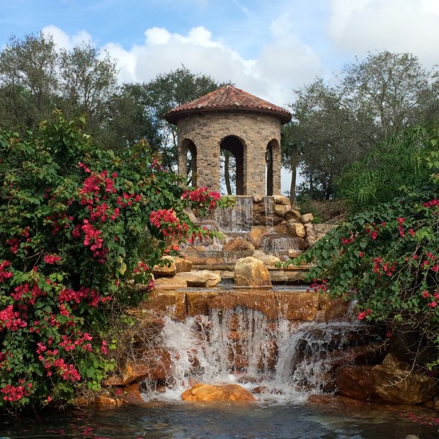 Friday Favorites | Beauty and Blooms