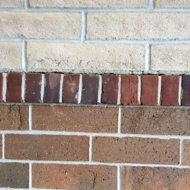 Friday-Favorites-Beauty-and-Blooms