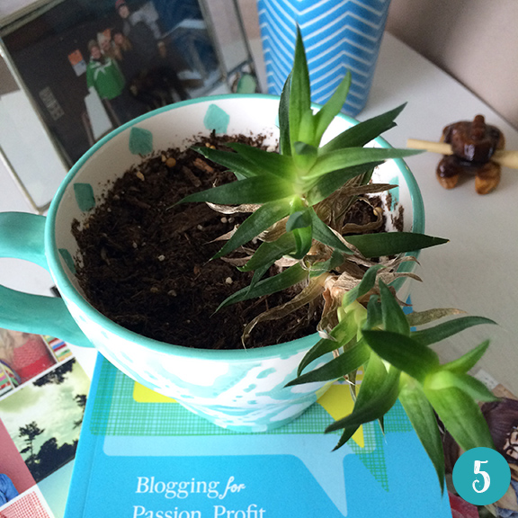 Five-Ways-to-Make-Your-Space-Feel-Like-Home