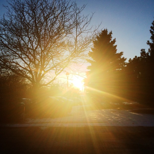 Friday-Favorites-Beauty-and-Blooms