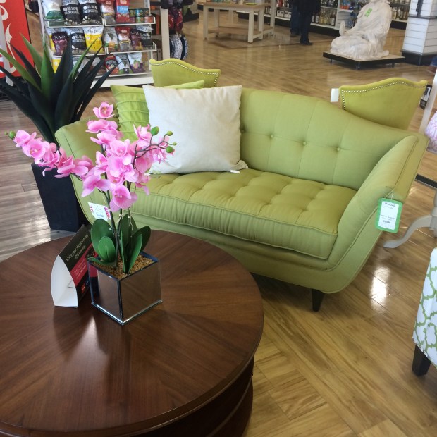 Friday-Favorites-Beauty-and-Blooms