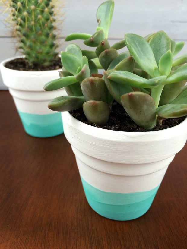 DIY-Painted-Succulent-Pots