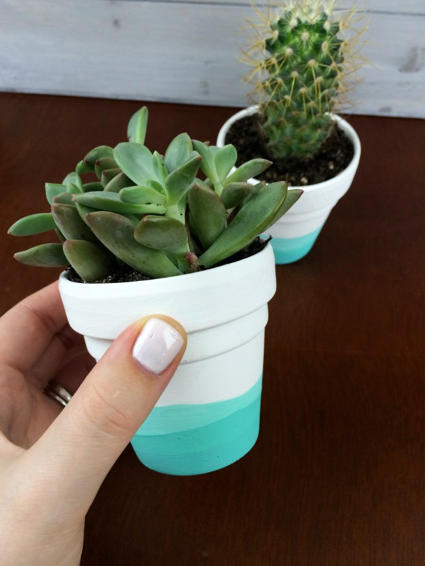 DIY-Painted-Succulent-Pots
