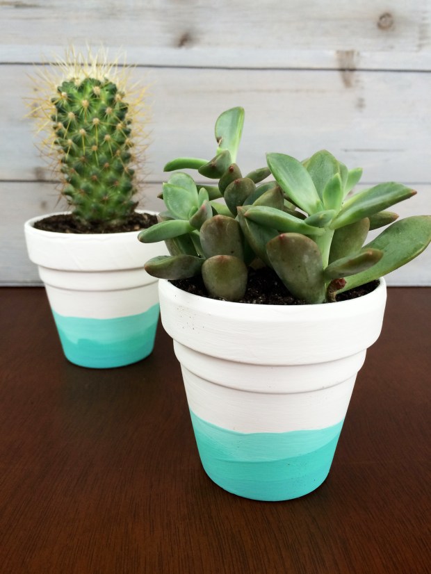 DIY-Painted-Succulent-Pots