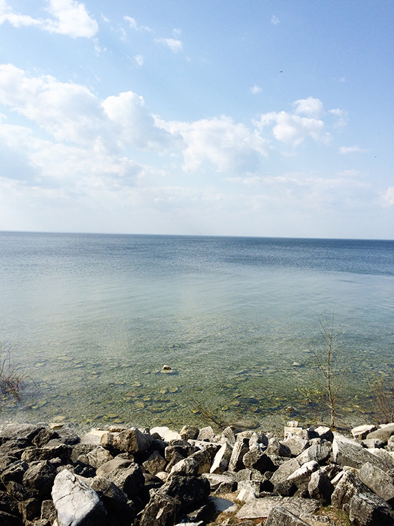 Friday-Favorites-Beauty-and-Blooms