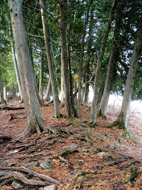 Door County Adventures : Cave Point Park