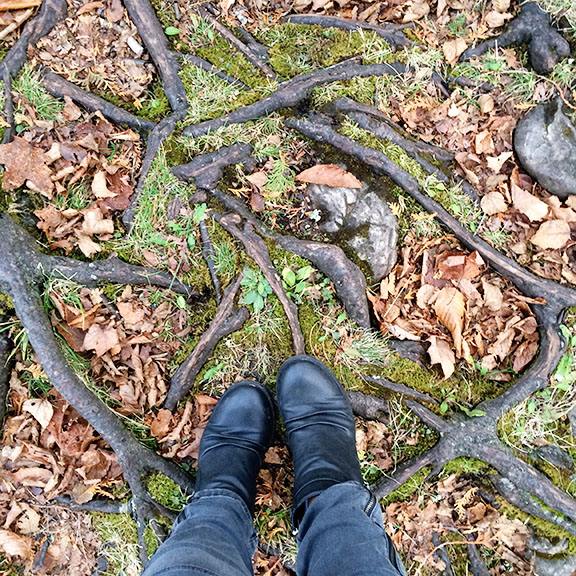 Door County Adventures : Cave Point Park