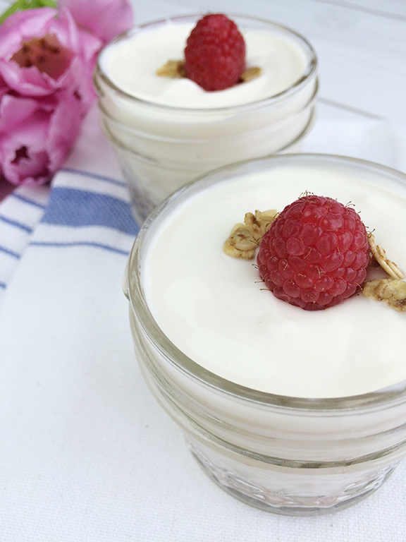 Raspberry Yogurt Parfait
