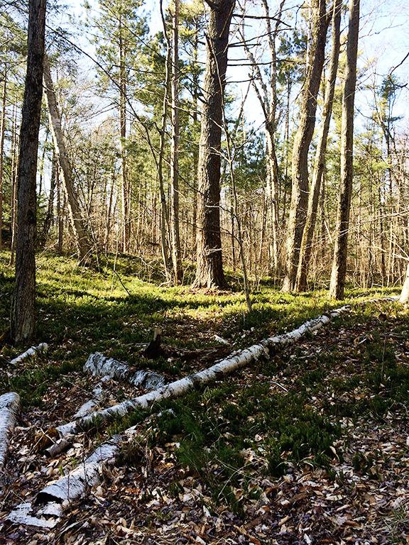 Two Rivers, WI Travel Guide!