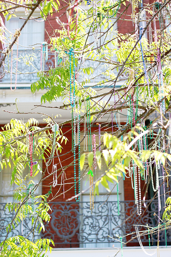 New Orleans Travel Guide!