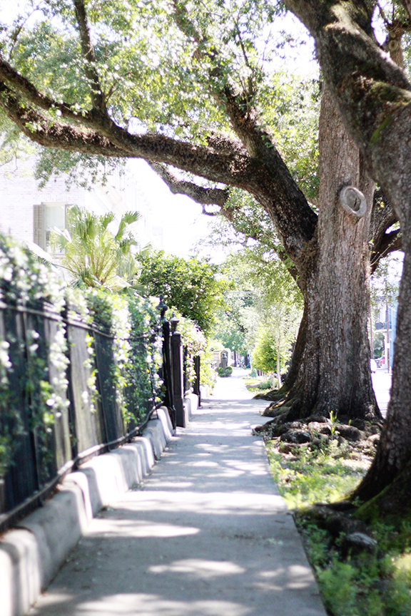 New Orleans Travel Guide!