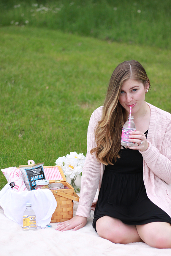 Laid Back Picnic Guide