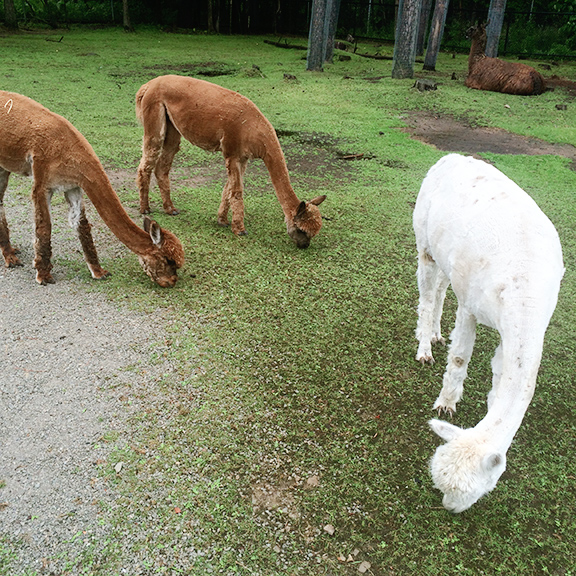 Month in Review: July, 2016