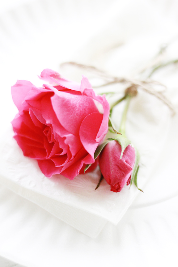 Summer BBQ Place Setting