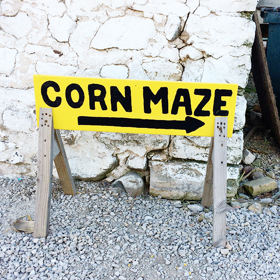 Month in Review: October, 2016