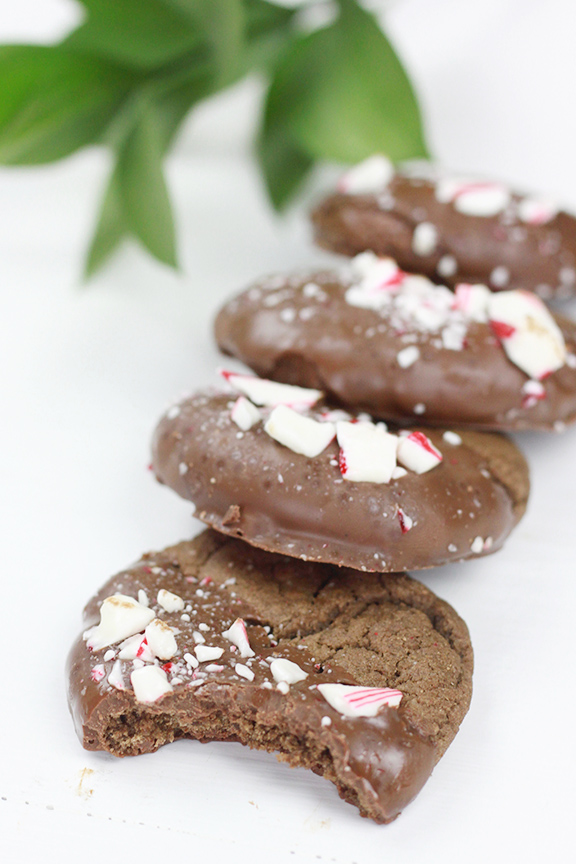 Chocolate Candy Cane Cookies. Perfect for the holidays!