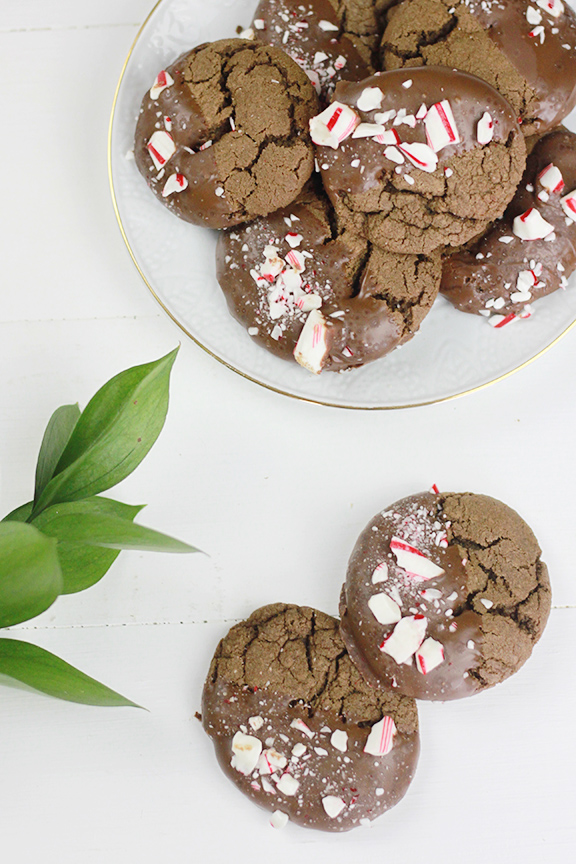 Chocolate Candy Cane Cookies. Perfect for the holidays!