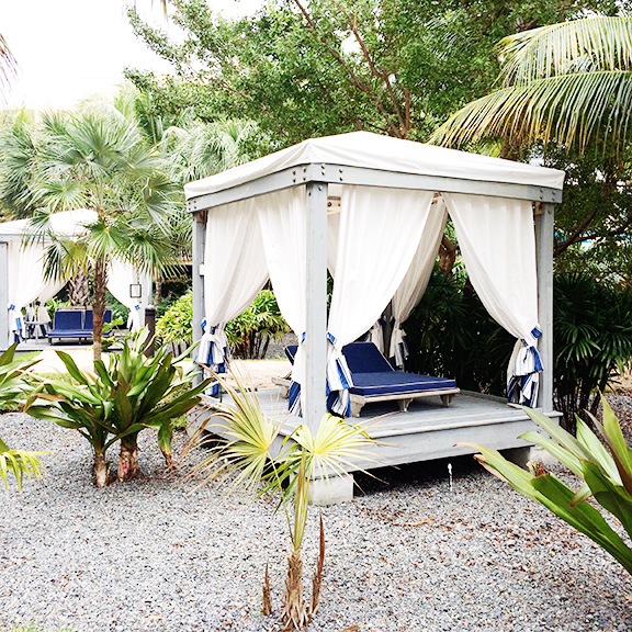 Month in Review: January, 2017