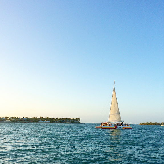 Month in Review: December, 2016