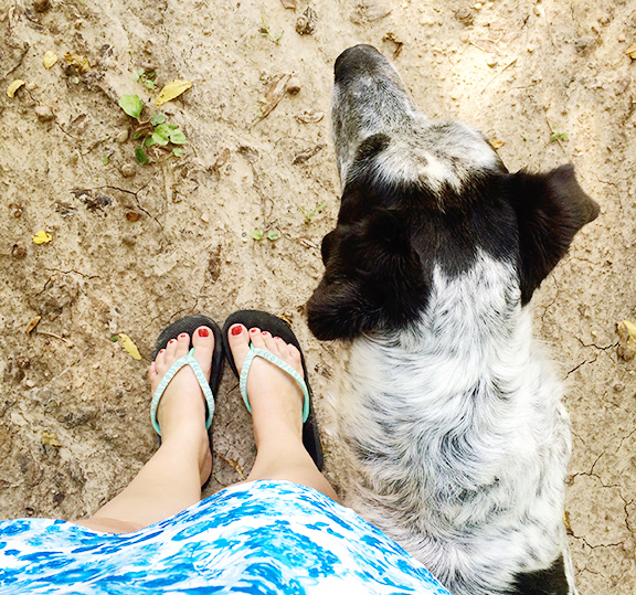 Month in Review: January, 2017