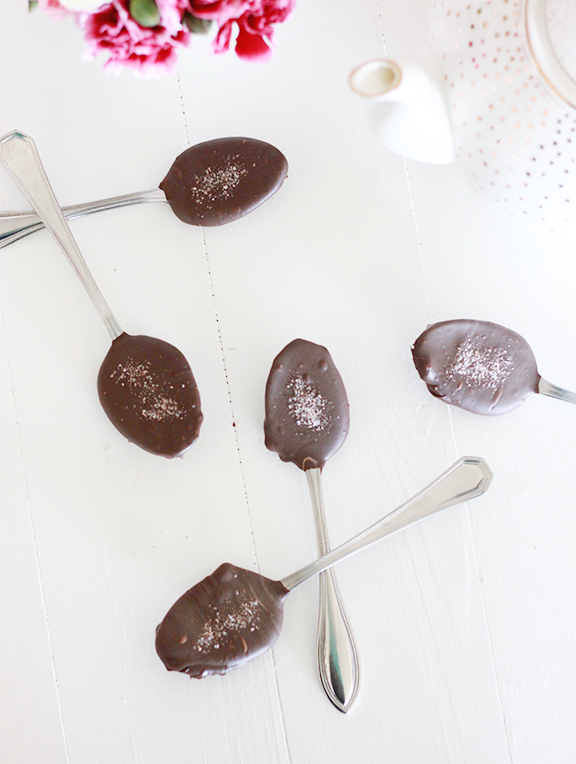 Sea Salt Dark Chocolate Mocha Spoons