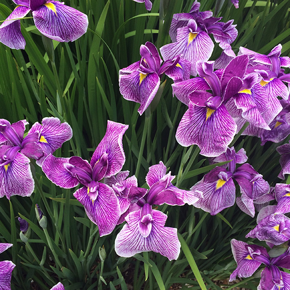 Month in Review: May, 2017