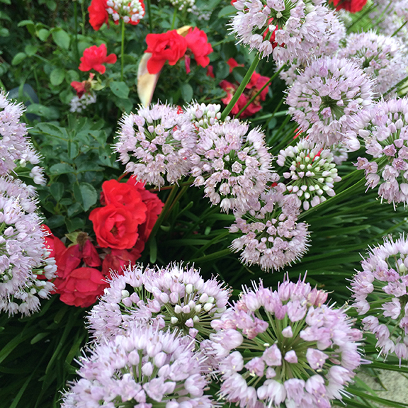 Month in Review: July, 2017