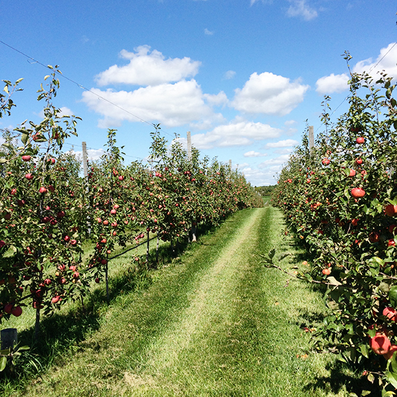 Month in Review: September, 2017