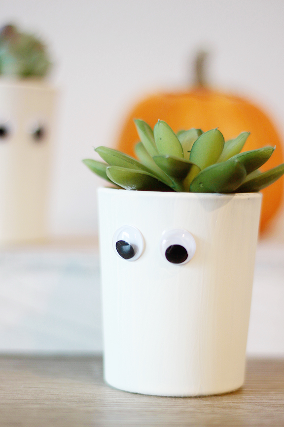 Halloween Succulent Planters