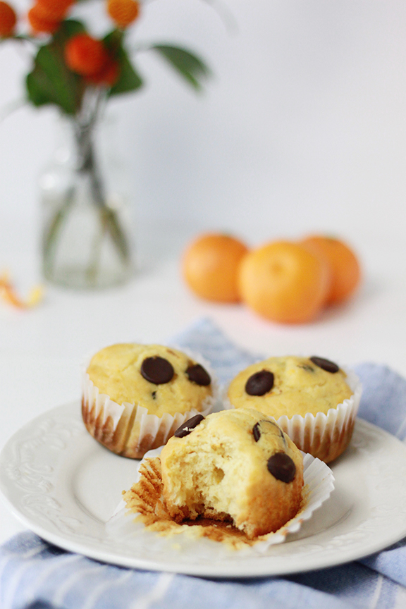 Orange Chocolate Chip Muffins