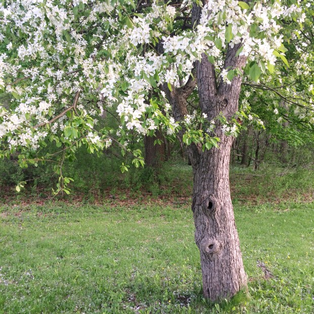 Month in Review: May, 2018