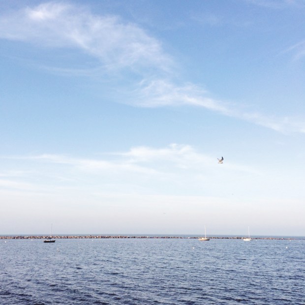 Month in Review: May, 2018