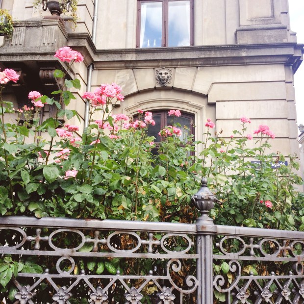 Copenhagen Adventures