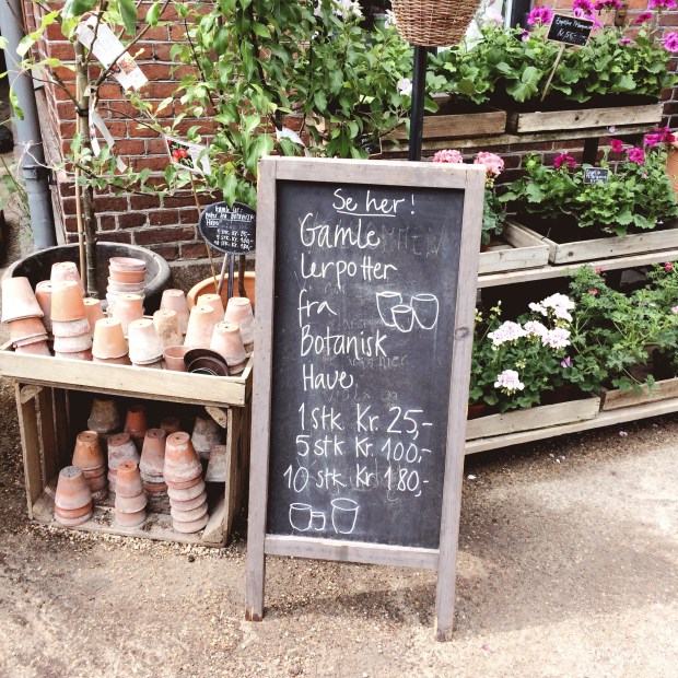 Copenhagen Adventures