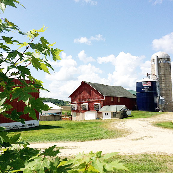 Month in Review: July, 2018