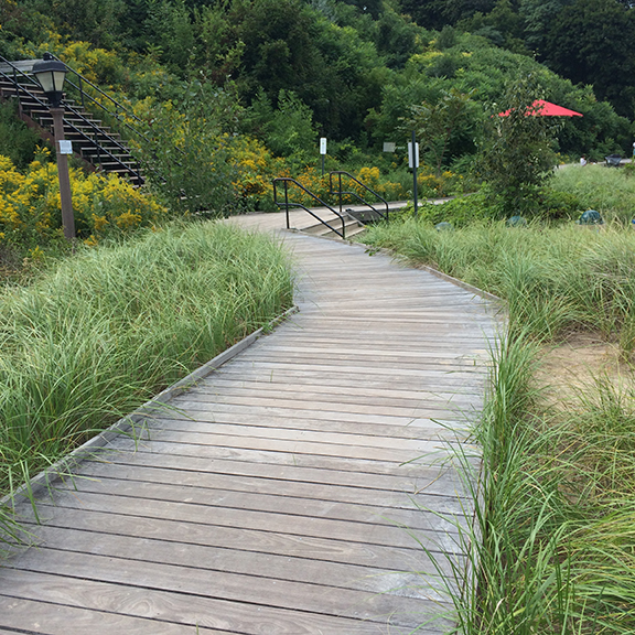 Month in Review, September, 2018