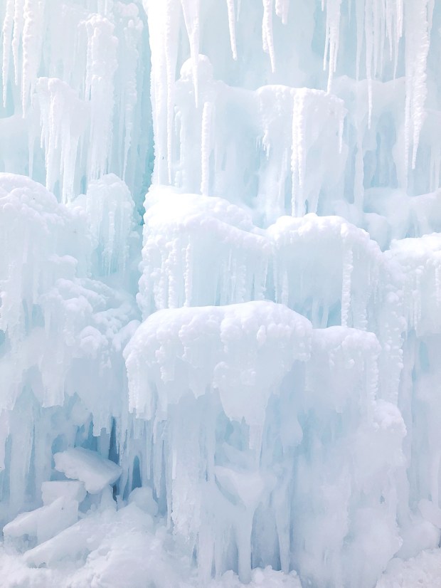 Month in Review: February 2019