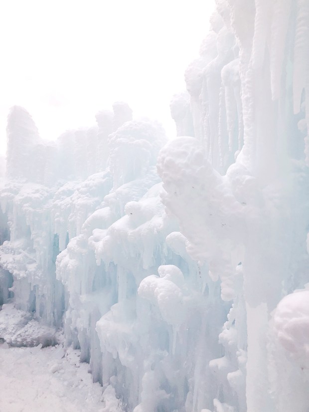 Month in Review: February 2019