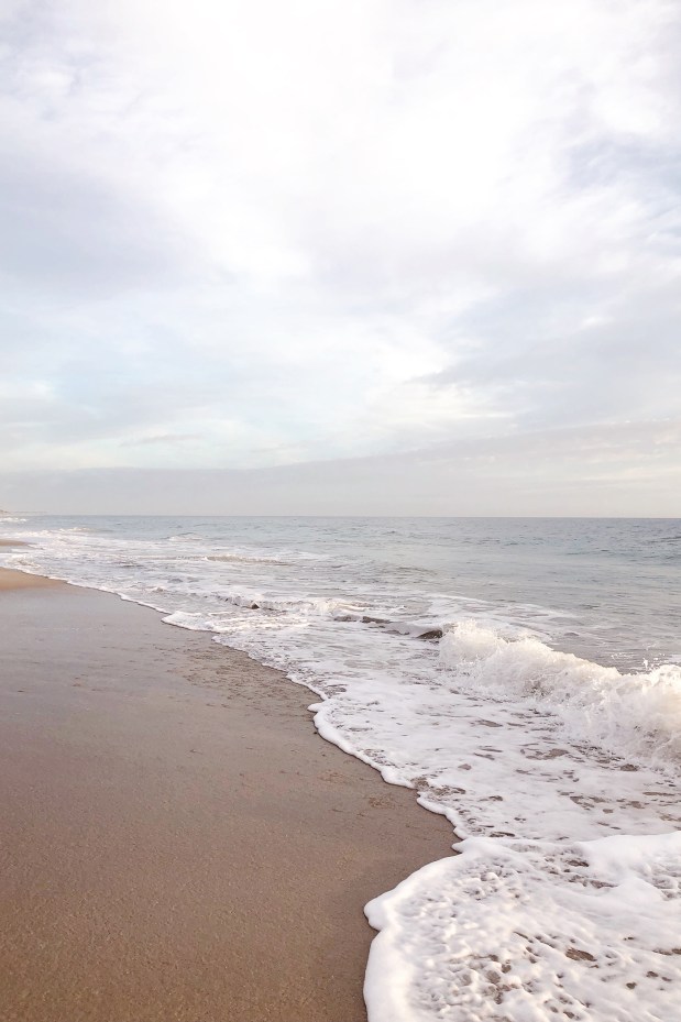 Month in Review: January 2019