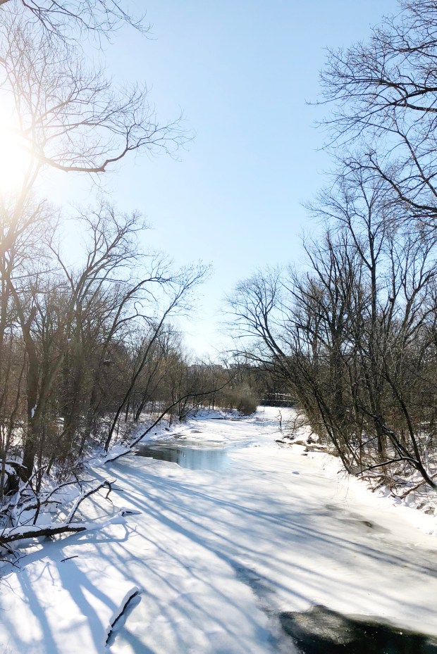 Month in Review: January 2019