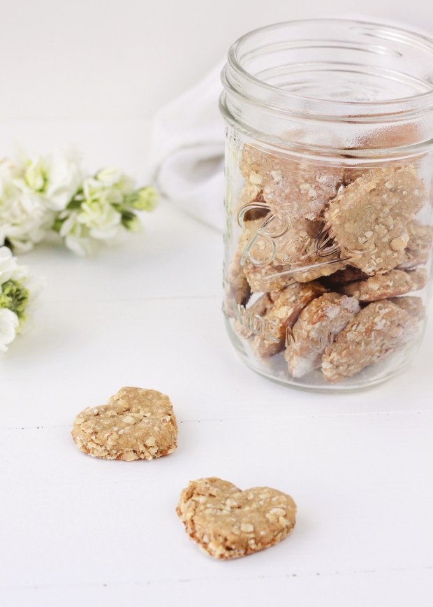 Homemade Peanut Butter and Banana Dog Treat Recipe | Easy Four Ingredient Dog Treat Recipe | Puppy Birthday Party Treat Idea | Dog Treat Inspiration | Puppy Valentine's Day Treat Idea 