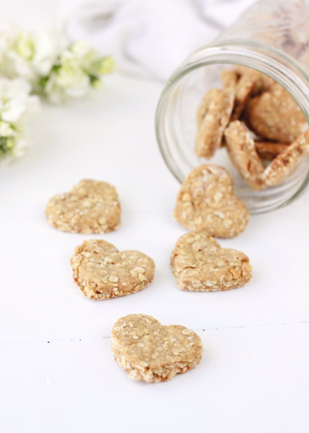 Homemade Peanut Butter and Banana Dog Treat Recipe | Easy Four Ingredient Dog Treat Recipe | Puppy Birthday Party Treat Idea | Dog Treat Inspiration | Puppy Valentine's Day Treat Idea 